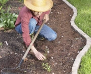 Como Fazer Um Herbicida Caseiro (14)