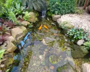 Fazer Um Lago de Carpas No Jardim (10)