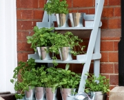 Como Plantar Legumes em Vasos (1)