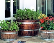 Como Plantar Legumes em Vasos (3)