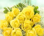 Banho de Rosas Amarelas Com Mel - Para Que Serve (1)
