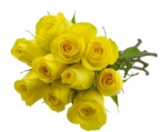 Banho de Rosas Amarelas Com Mel - Para Que Serve (8)