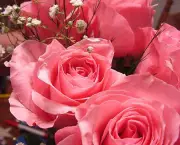 Banho de Rosas Cor de Rosa (10)