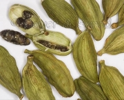 Cardamomo (Elettaria Cardamomum) (17)