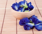 Chá de Flores Azuis de Feijão Borboleta (11)