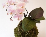 Como Fazer Kokedama com Orquídeas (3)