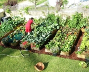 Como Fazer uma Horta no Quintal (2)
