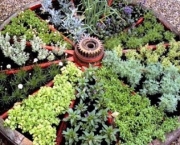 como-organizar-um-jardim-de-ervas (1)