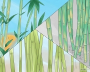 Como Plantar Bambu (3)
