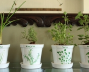 Como Plantar Ervas em Casa (12)