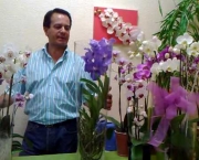 Como Regar Orquídeas (1)
