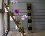Como Regar Orquídeas (10)