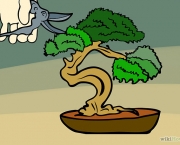 bonsai (11)