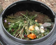 compostagem-como-fazer (3)