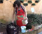 compostagem-como-fazer (6)