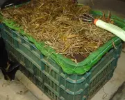 compostagem-como-fazer (13)