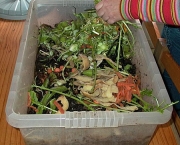 compostagem-como-fazer (15)