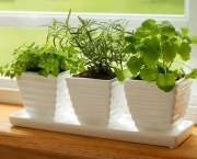 Cultivar Horta em Apartamento (1)