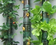 Cultivar Horta em Apartamento (11)