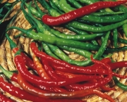 cultivo-da-pimenta (5)