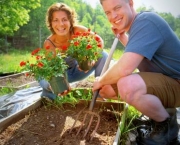 Dicas de Jardinagem para Sua Casa (10)