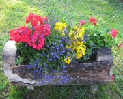 variedades de flores para jardim 3