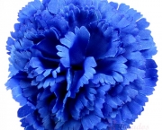 Flor Cravo Azul (4)