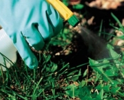 herbicida-organico-como-fazer (13)