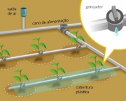 irrigacao-por-gotejamento (6)