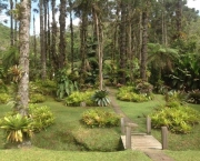 Jardim das Bromélias (12)