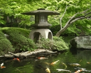 Jardim Oriental - Ambiente Zen (1)