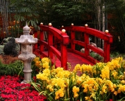 Jardim Oriental - Ambiente Zen (1)