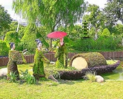 Jardim Oriental - Ambiente Zen (5)