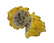 pitaya-amarela (2)
