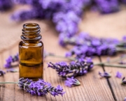 Herbal Oil And Lavender Flowers