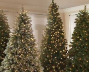 Árvores e Enfeites de Natal (6)