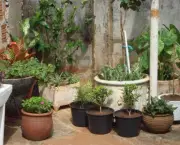 Como Compor Um Jardim de Vasos (4)