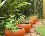 Como Compor Um Jardim de Vasos (9)