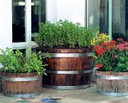 Como Compor Um Jardim de Vasos (11)