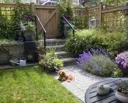 http://www.dreamstime.com/stock-photo-small-garden-patio-dachshund-dog-lying-sun-image42204870