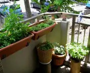Balcony Ideas For Small Apartment Balcony Ideas Garden – Homes Aura.Com