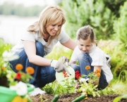Mother and daughter planting flowers together.