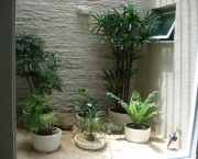 Plantas Para o Quintal (10)