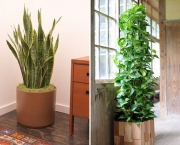 Plantas Que Podem Ficar Dentro de Casa (16)