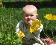 Bebês em Flores (6)