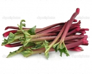 depositphotos_18640521-Red-edible-stems-of-rhubarb-for-compote.jpg