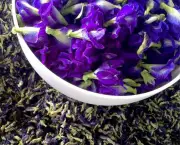 Chá de Flores Azuis de Feijão Borboleta (4)