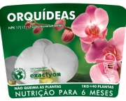 Como Adubar As Orquídeas (1)