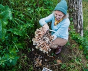 Cultivar Cogumelos Em Sua Própria Casa (6)