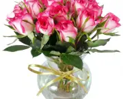 Como Cultivar Rosas Em Vasos (4)